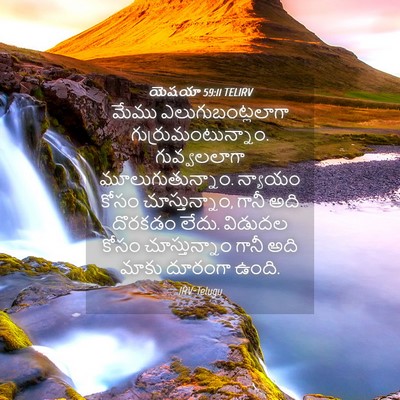 Picture 04 - యెషయా 59:11 TELIRV - మేము - Bible Verse Picture