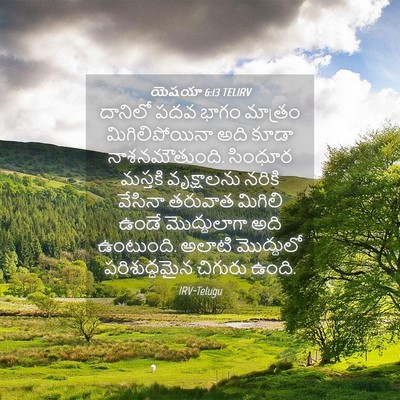 Picture 04 - యెషయా 6:13 TELIRV - దానిలో పదవ భాగం - Bible Verse Picture
