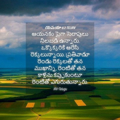 Picture 04 - యెషయా 6:2 TELIRV - ఆయనకు పైగా - Bible Verse Picture