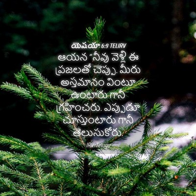 Picture 04 - యెషయా 6:9 TELIRV - ఆయన “నీవు వెళ్లి ఈ - Bible Verse Picture