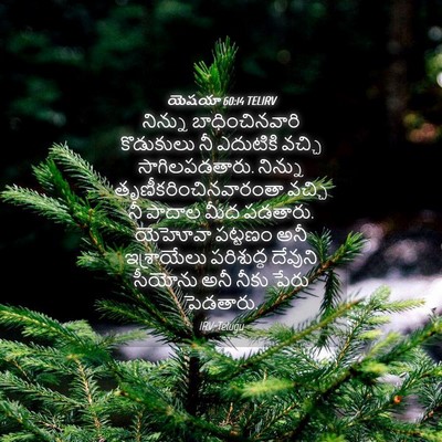Picture 04 - యెషయా 60:14 TELIRV - నిన్ను - Bible Verse Picture