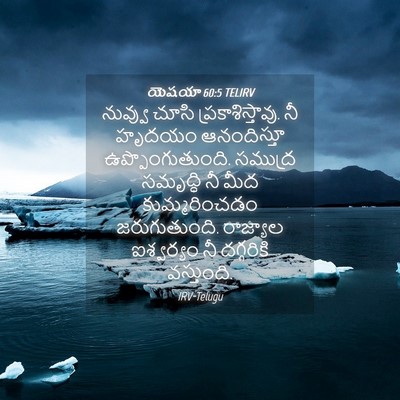 Picture 04 - యెషయా 60:5 TELIRV - నువ్వు చూసి - Bible Verse Picture