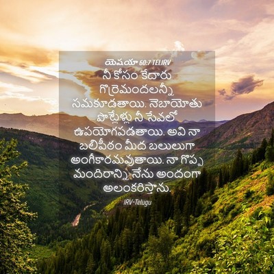 Picture 04 - యెషయా 60:7 TELIRV - నీ కోసం కేదారు - Bible Verse Picture