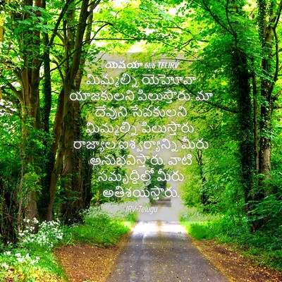 Picture 04 - యెషయా 61:6 TELIRV - మిమ్మల్ని యెహోవా - Bible Verse Picture