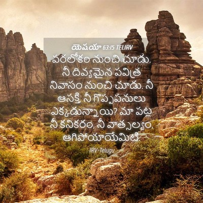 Picture 04 - యెషయా 63:15 TELIRV - పరలోకం నుంచి చూడు. - Bible Verse Picture