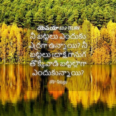 Picture 04 - యెషయా 63:2 TELIRV - నీ బట్టలు ఎందుకు - Bible Verse Picture