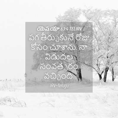 Picture 04 - యెషయా 63:4 TELIRV - పగ తీర్చుకునే - Bible Verse Picture