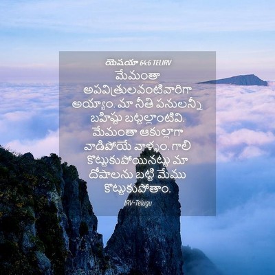 Picture 04 - యెషయా 64:6 TELIRV - మేమంతా - Bible Verse Picture