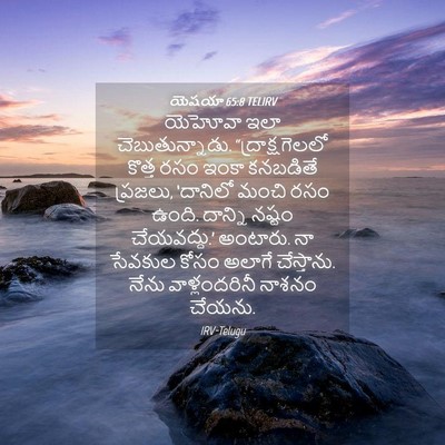 Picture 04 - యెషయా 65:8 TELIRV - యెహోవా ఇలా - Bible Verse Picture