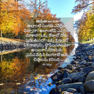 Picture 04 - యెషయా 66:8 TELIRV - అలాంటి సంగతి - Bible Verse Picture