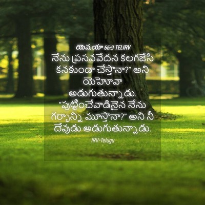 Picture 04 - యెషయా 66:9 TELIRV - నేను ప్రసవవేదన - Bible Verse Picture
