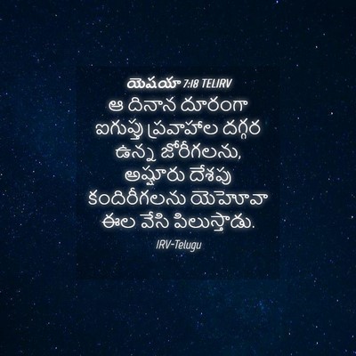 Picture 04 - యెషయా 7:18 TELIRV - ఆ దినాన దూరంగా - Bible Verse Picture