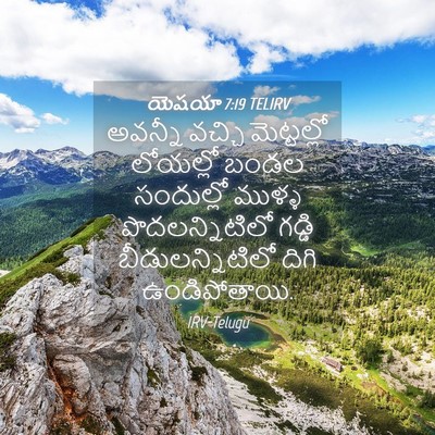 Picture 04 - యెషయా 7:19 TELIRV - అవన్నీ వచ్చి - Bible Verse Picture