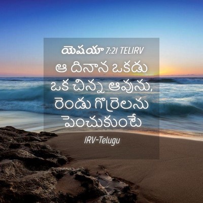 Picture 04 - యెషయా 7:21 TELIRV - ఆ దినాన ఒకడు ఒక - Bible Verse Picture