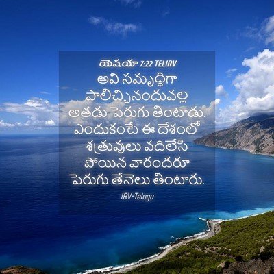 Picture 04 - యెషయా 7:22 TELIRV - అవి సమృద్ధిగా - Bible Verse Picture
