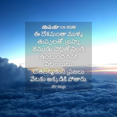 Picture 04 - యెషయా 7:24 TELIRV - ఈ దేశమంతా ముళ్ళ - Bible Verse Picture