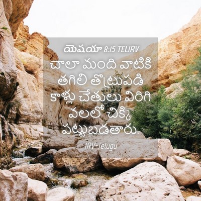 Picture 04 - యెషయా 8:15 TELIRV - చాలా మంది వాటికి - Bible Verse Picture