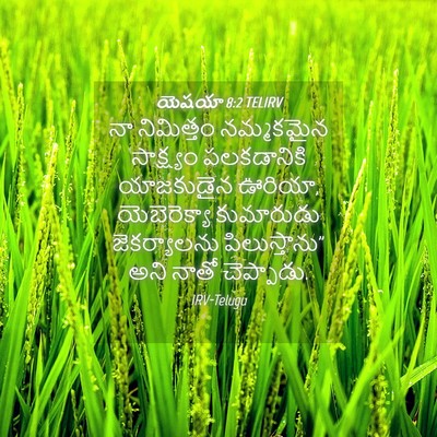 Picture 04 - యెషయా 8:2 TELIRV - నా నిమిత్తం - Bible Verse Picture