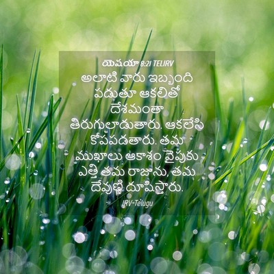 Picture 04 - యెషయా 8:21 TELIRV - అలాటి వారు - Bible Verse Picture