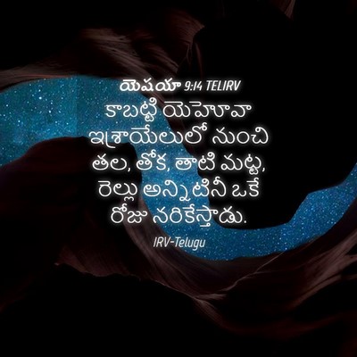 Picture 04 - యెషయా 9:14 TELIRV - కాబట్టి యెహోవా - Bible Verse Picture