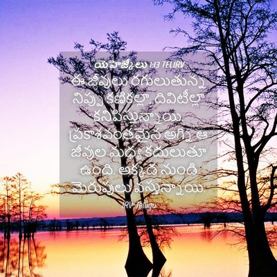 Picture 04 - యెహెజ్కేలు 1:13 TELIRV - ఈ జీవులు - Bible Verse Picture