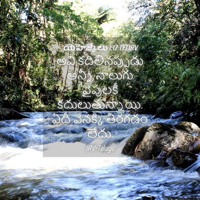 Picture 04 - యెహెజ్కేలు 1:17 TELIRV - అవి కదిలినప్పుడు - Bible Verse Picture