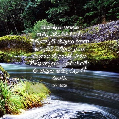 Picture 04 - యెహెజ్కేలు 1:20 TELIRV - ఆత్మ ఎక్కడికి - Bible Verse Picture