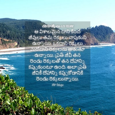 Picture 04 - యెహెజ్కేలు 1:23 TELIRV - ఆ విశాలమైన దాని - Bible Verse Picture