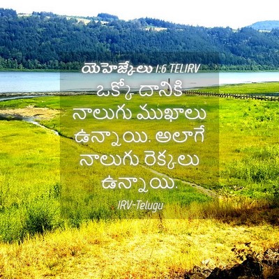 Picture 04 - యెహెజ్కేలు 1:6 TELIRV - ఒక్కో దానికి - Bible Verse Picture