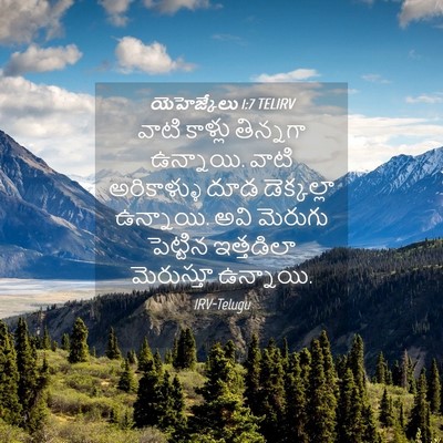 Picture 04 - యెహెజ్కేలు 1:7 TELIRV - వాటి కాళ్లు - Bible Verse Picture
