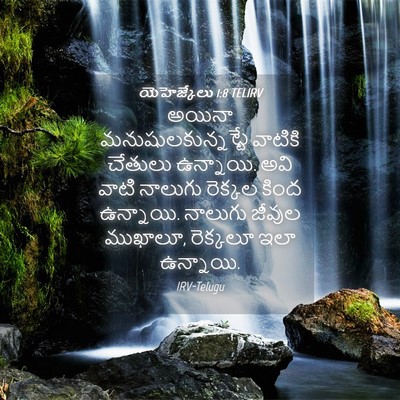 Picture 04 - యెహెజ్కేలు 1:8 TELIRV - అయినా - Bible Verse Picture