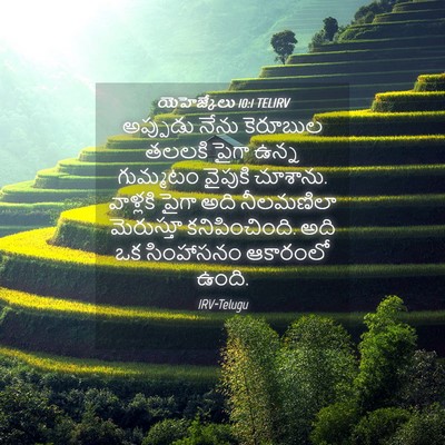 Picture 04 - యెహెజ్కేలు 10:1 TELIRV - అప్పుడు నేను - Bible Verse Picture