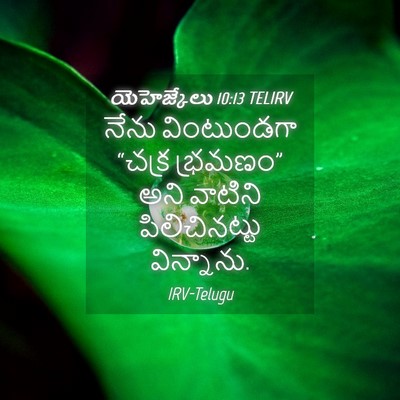 Picture 04 - యెహెజ్కేలు 10:13 TELIRV - నేను వింటుండగా - Bible Verse Picture