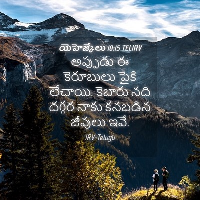 Picture 04 - యెహెజ్కేలు 10:15 TELIRV - అప్పుడు ఈ - Bible Verse Picture
