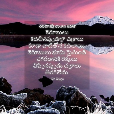 Picture 04 - యెహెజ్కేలు 10:16 TELIRV - కెరూబులు - Bible Verse Picture