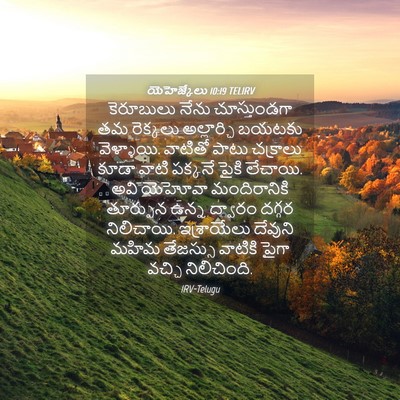Picture 04 - యెహెజ్కేలు 10:19 TELIRV - కెరూబులు నేను - Bible Verse Picture
