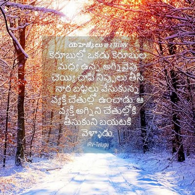 Picture 04 - యెహెజ్కేలు 10:7 TELIRV - కెరూబుల్లో ఒకడు - Bible Verse Picture