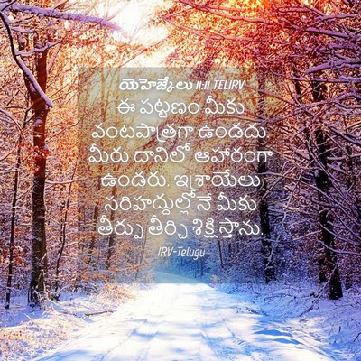 Picture 04 - యెహెజ్కేలు 11:11 TELIRV - ఈ పట్టణం మీకు - Bible Verse Picture