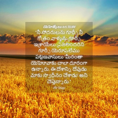 Picture 04 - యెహెజ్కేలు 11:15 TELIRV - “నీ సోదరులను - Bible Verse Picture