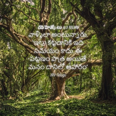 Picture 04 - యెహెజ్కేలు 11:3 TELIRV - వాళ్ళిలా - Bible Verse Picture