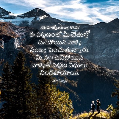 Picture 04 - యెహెజ్కేలు 11:6 TELIRV - ఈ పట్టణంలో మీ - Bible Verse Picture