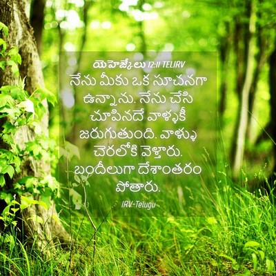 Picture 04 - యెహెజ్కేలు 12:11 TELIRV - నేను మీకు ఒక - Bible Verse Picture