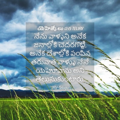 Picture 04 - యెహెజ్కేలు 12:15 TELIRV - నేను వాళ్ళని అనేక - Bible Verse Picture