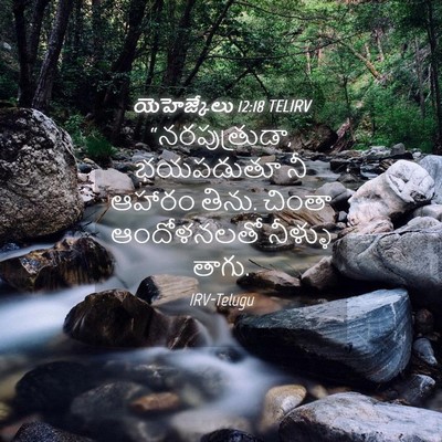Picture 04 - యెహెజ్కేలు 12:18 TELIRV - “నరపుత్రుడా, - Bible Verse Picture