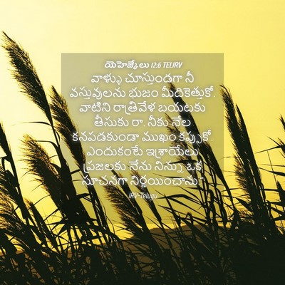 Picture 04 - యెహెజ్కేలు 12:6 TELIRV - వాళ్ళు చూస్తుండగా - Bible Verse Picture