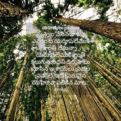 Picture 04 - యెహెజ్కేలు 13:16 TELIRV - సున్నం వేసిన - Bible Verse Picture