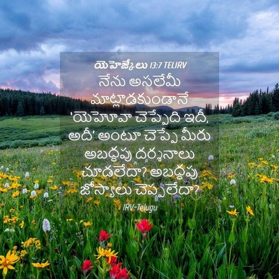 Picture 04 - యెహెజ్కేలు 13:7 TELIRV - నేను అసలేమీ - Bible Verse Picture