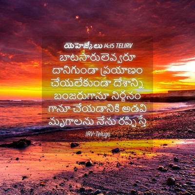 Picture 04 - యెహెజ్కేలు 14:15 TELIRV - బాటసారులెవ్వరూ - Bible Verse Picture