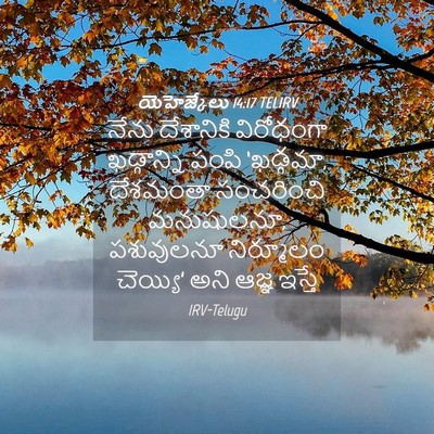 Picture 04 - యెహెజ్కేలు 14:17 TELIRV - నేను దేశానికి - Bible Verse Picture