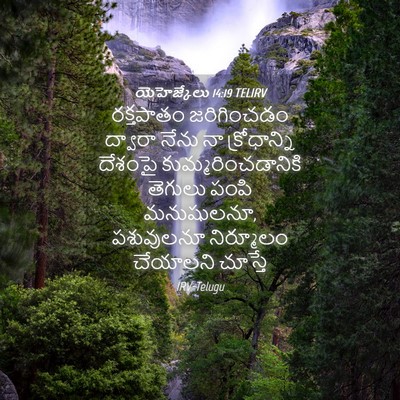 Picture 04 - యెహెజ్కేలు 14:19 TELIRV - రక్తపాతం - Bible Verse Picture